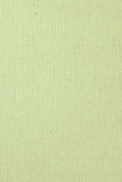 Wzór lameli B0788