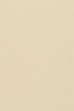 Wzór lameli B0792