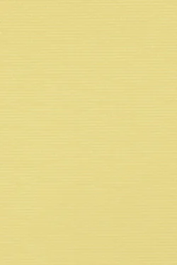Wzór lameli B0774
