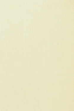Wzór lameli B0790